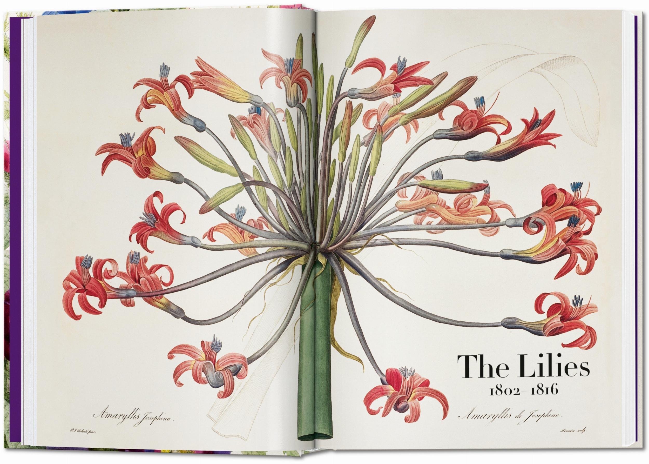 Pierre-Joseph Redouté. El libro de las flores. 40th Ed. – Plastic Books