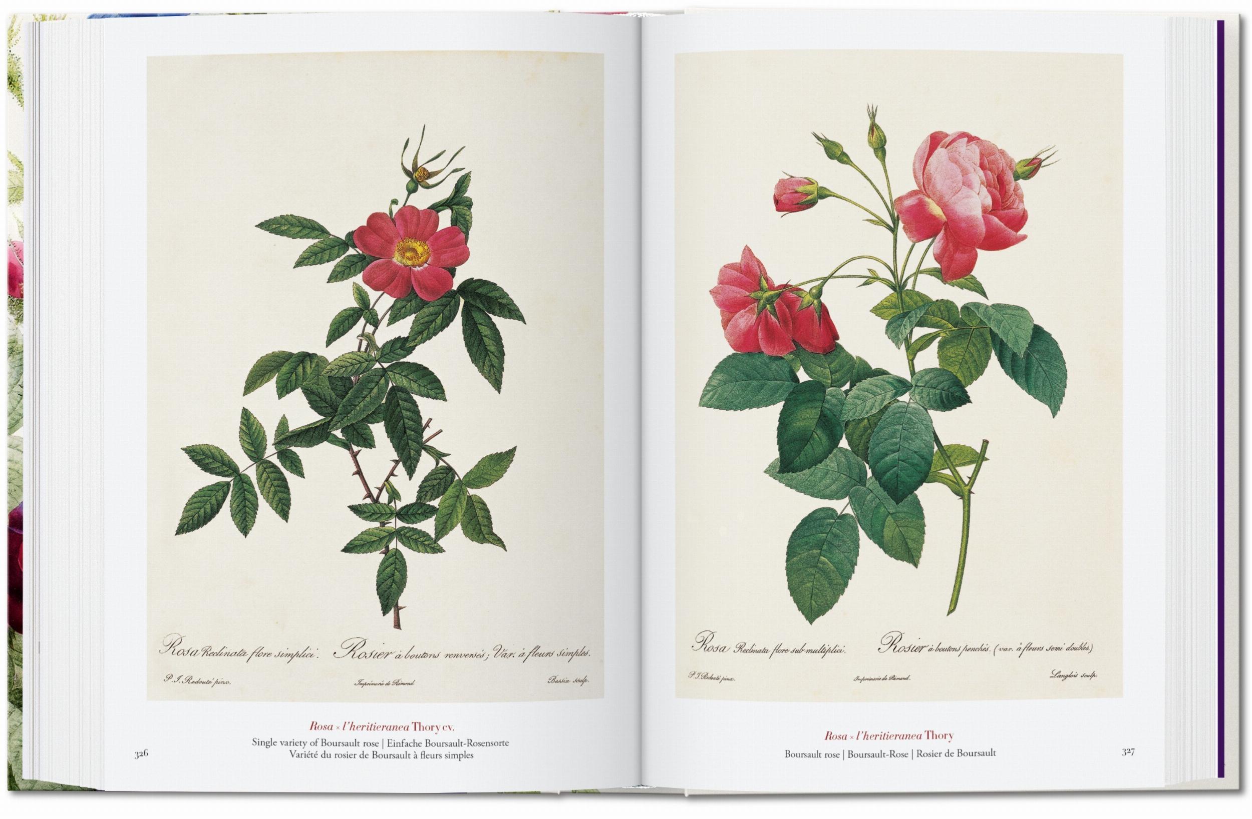 Pierre-Joseph Redouté. El libro de las flores. 40th Ed. – Plastic Books