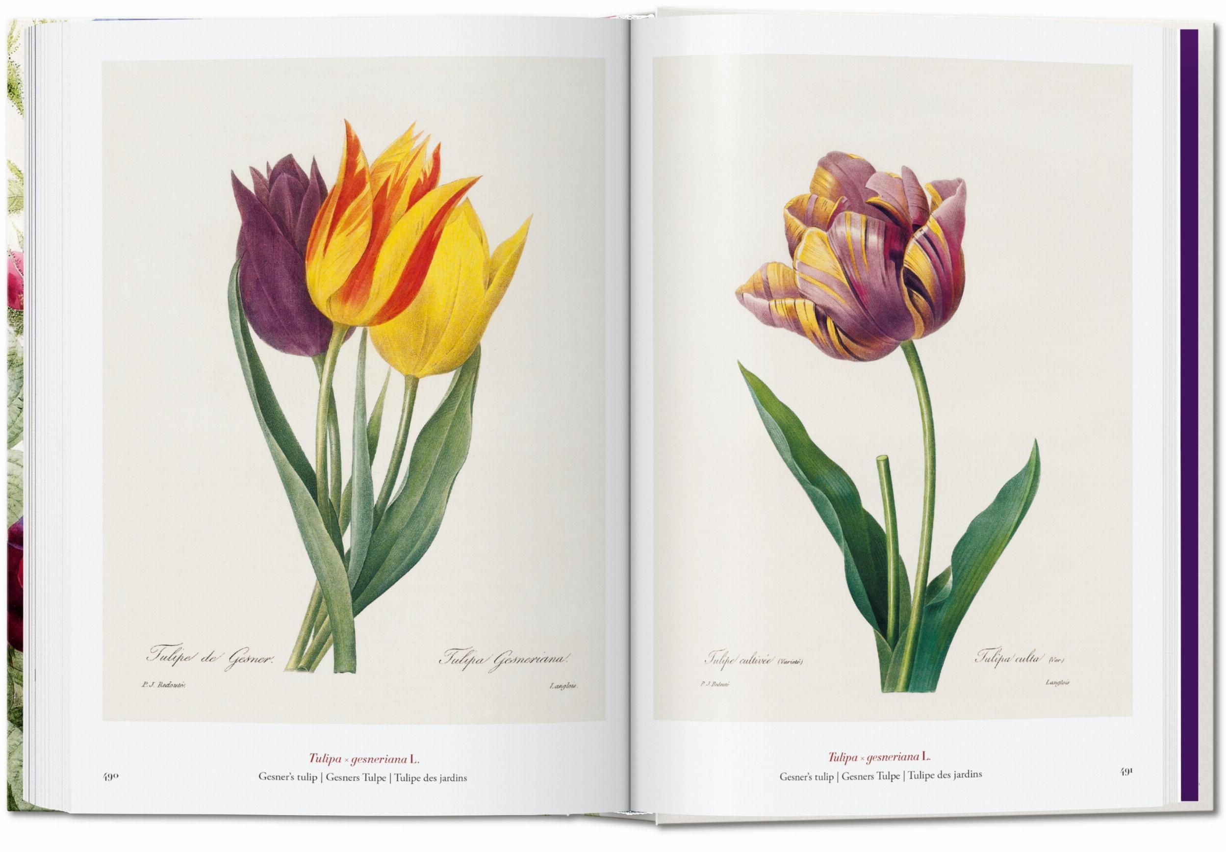 Pierre-Joseph Redouté. El libro de las flores. 40th Ed. – Plastic Books